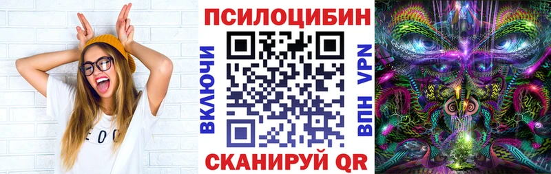 Купить где  Владимир  Псилоцибиновые грибы Psilocybine cubensis 