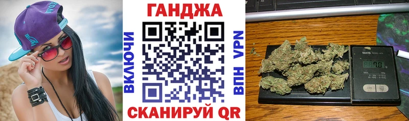 Купить закладки  Владимир  Марихуана сатива 